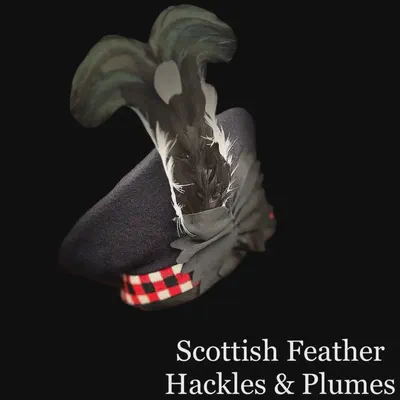 Scottish+feather+hat+hackles+and+plumes.webp