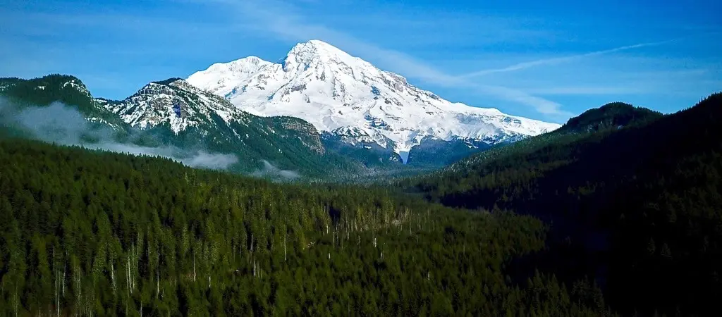 Washington