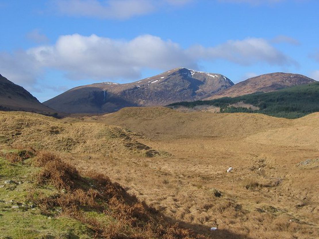 Battle of Dalry, Robert I, attacked and defeated John MacDougall of Lorne, kinsman of John Comyn.