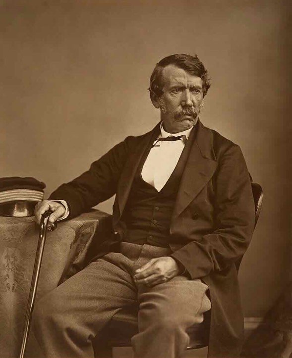 David Livingstone reached Victoria Falls in Africa